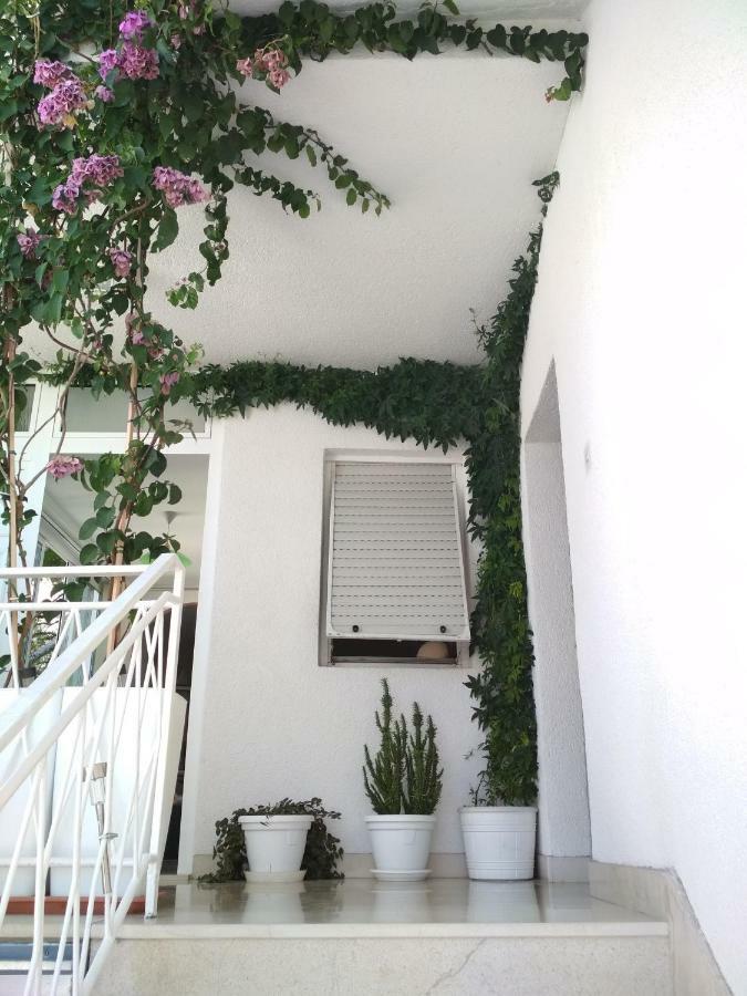 Apartmani Carevic Baska Voda Bagian luar foto